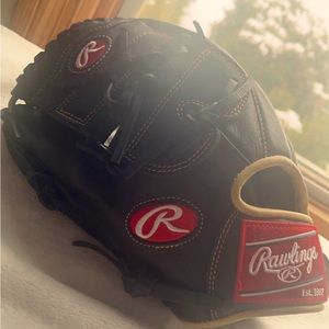Rawlings GG Elite Baseball Glove